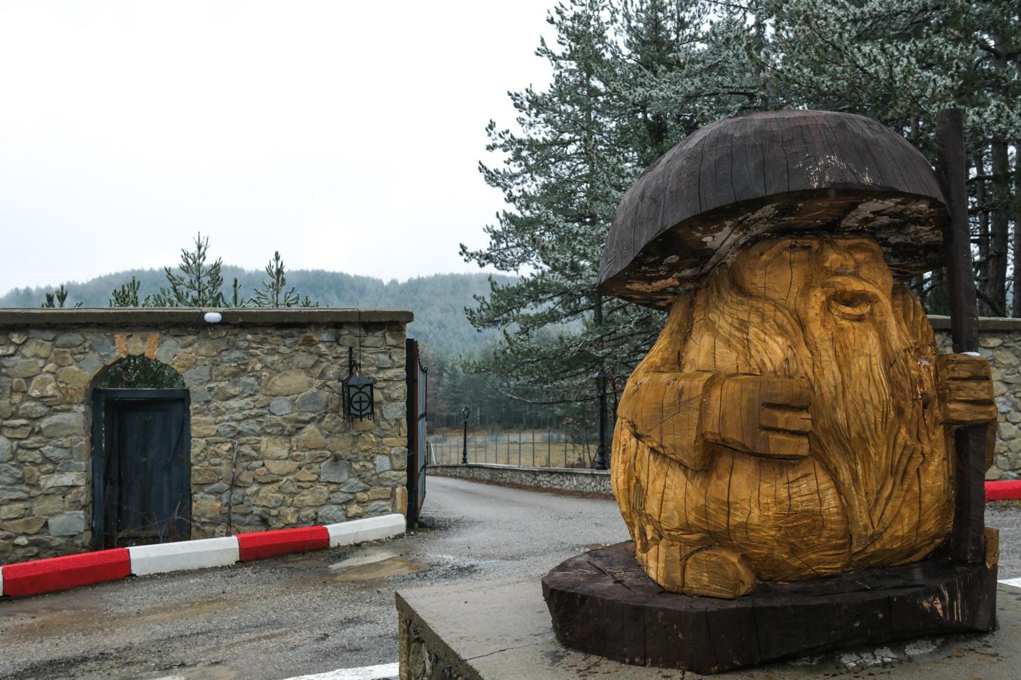 Pindos Resort Kraniá Екстериор снимка
